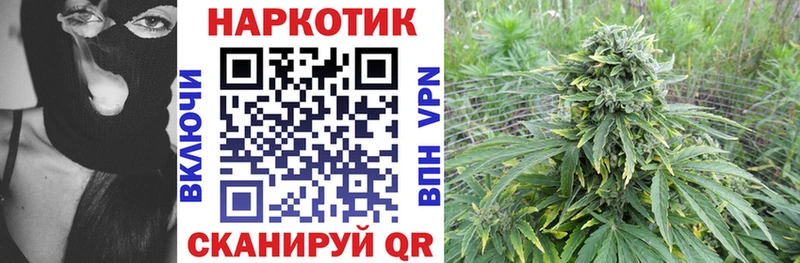 Где можно купить наркотики Жиздра blacksprut зеркало  Конопля  Амфетамин  Меф мяу мяу  Гашиш 