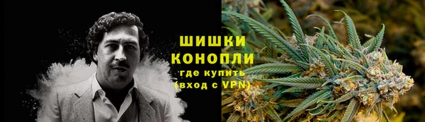 дмт Ладушкин