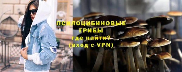 дмт Ладушкин