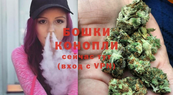 дмт Ладушкин