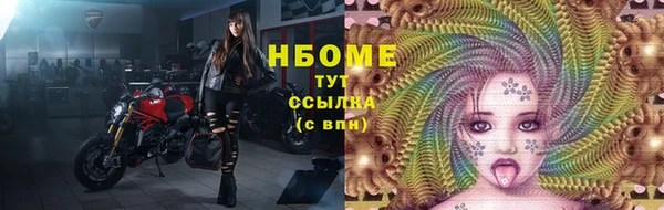 дмт Ладушкин